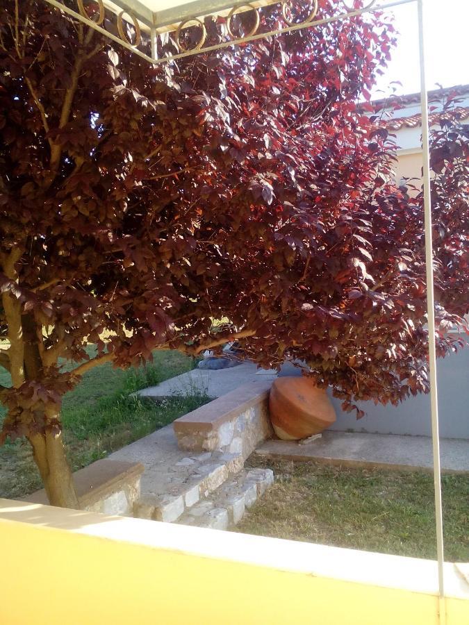 Studios Στουσ Πυργουσ Θερμησ Mytilíni Extérieur photo